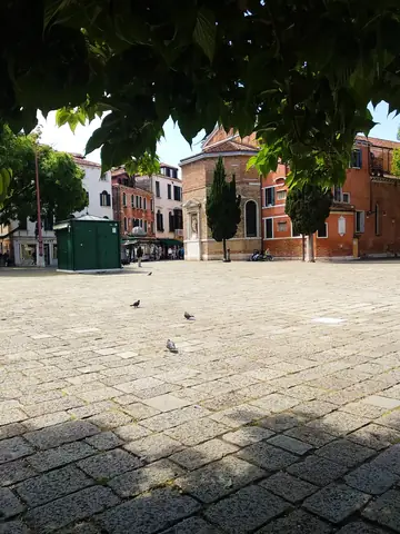 Venice Wall Tree Neighbourhood