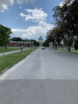 Cemetery Vienna