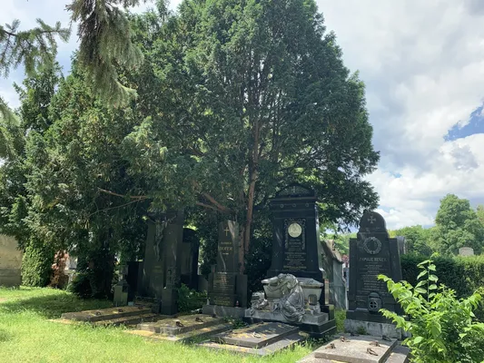 Cemetery Vienna 03