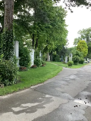 Cemetery Vienna 19