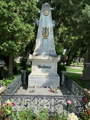 Cemetery Vienna 31
